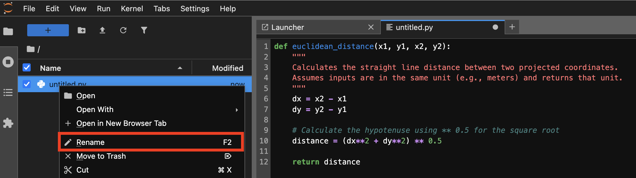 Renaming the new file in JupyterLab.