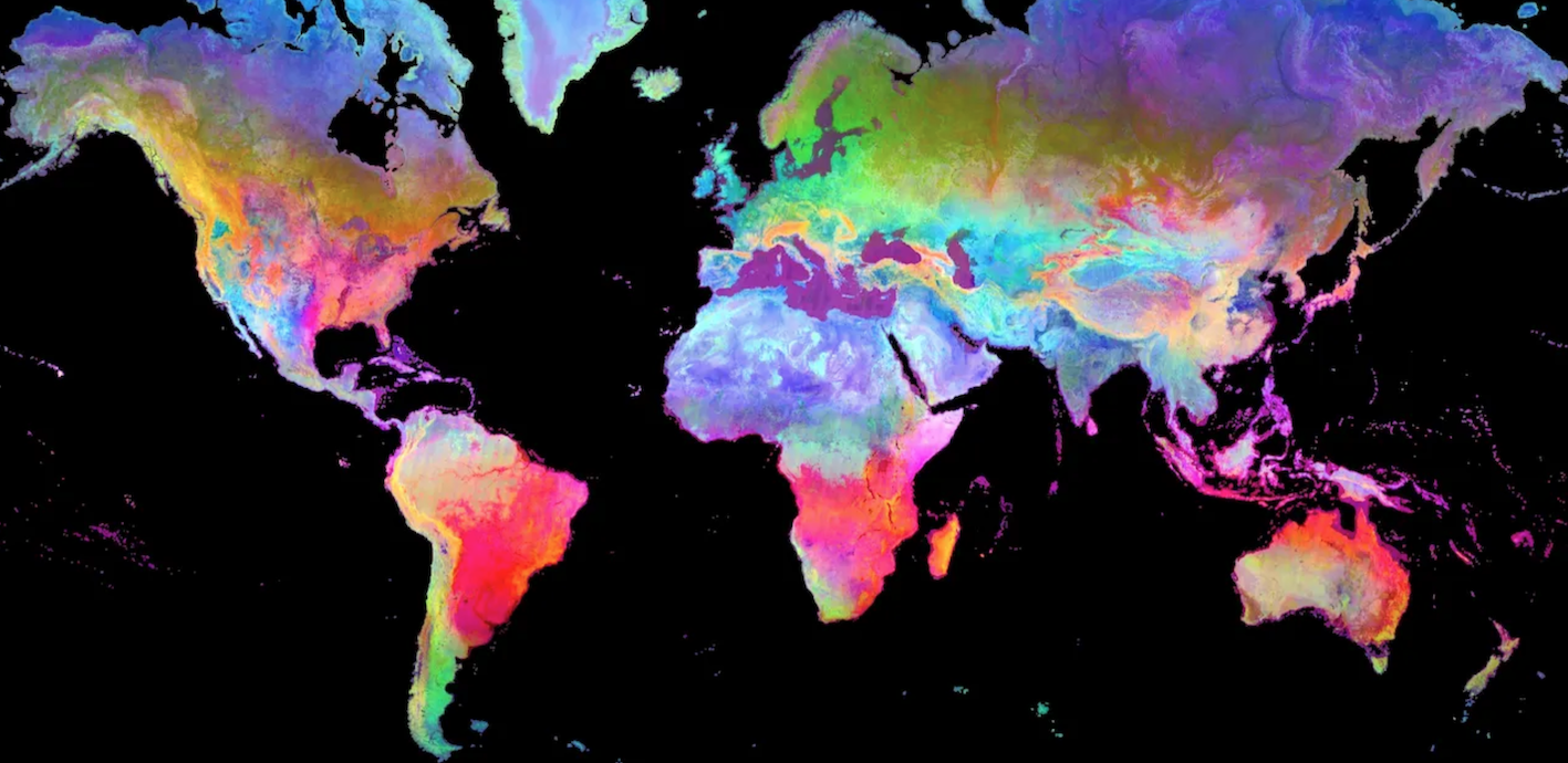 Global image of a multi-dimensional feature embedding map.