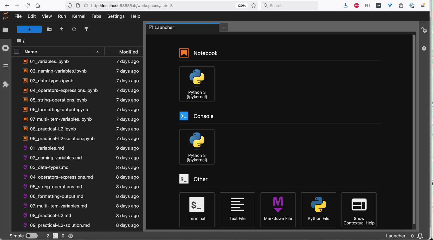 The starting window of JupyterLab